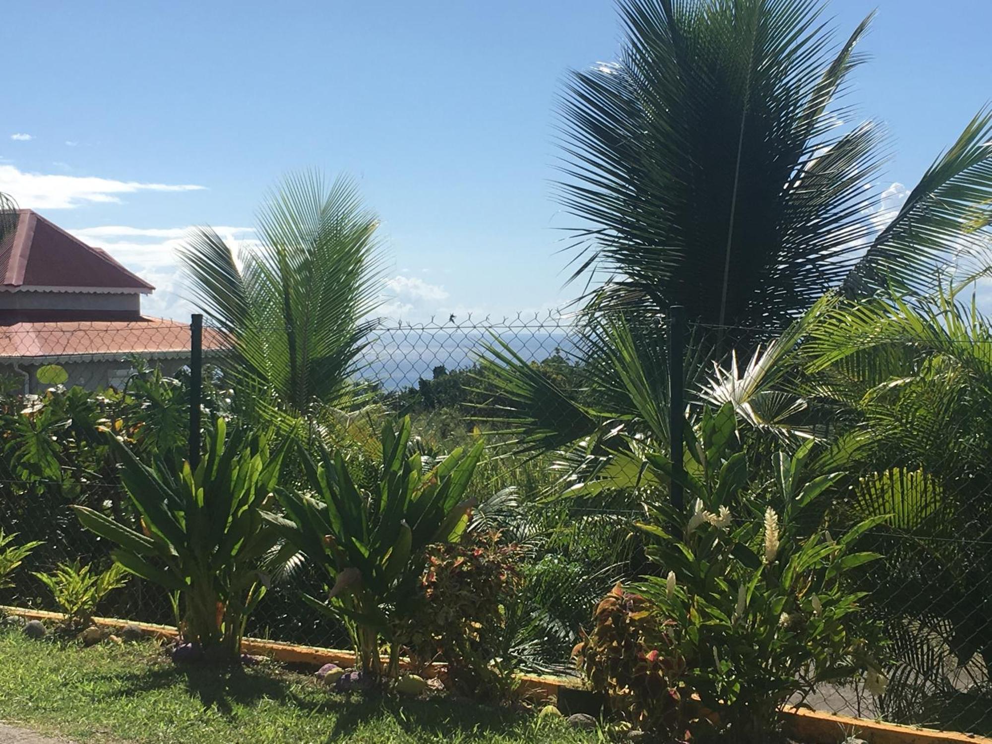 Villa A Rabica - Extrait De Cafe Pointe-Noire Ngoại thất bức ảnh