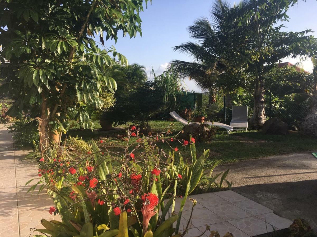 Villa A Rabica - Extrait De Cafe Pointe-Noire Ngoại thất bức ảnh